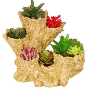 Succulents tree stump planter.